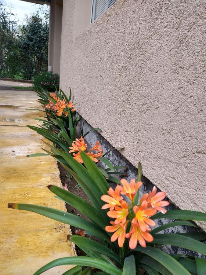 Orange Apartment ริโอกัวร์โต ภายนอก รูปภาพ